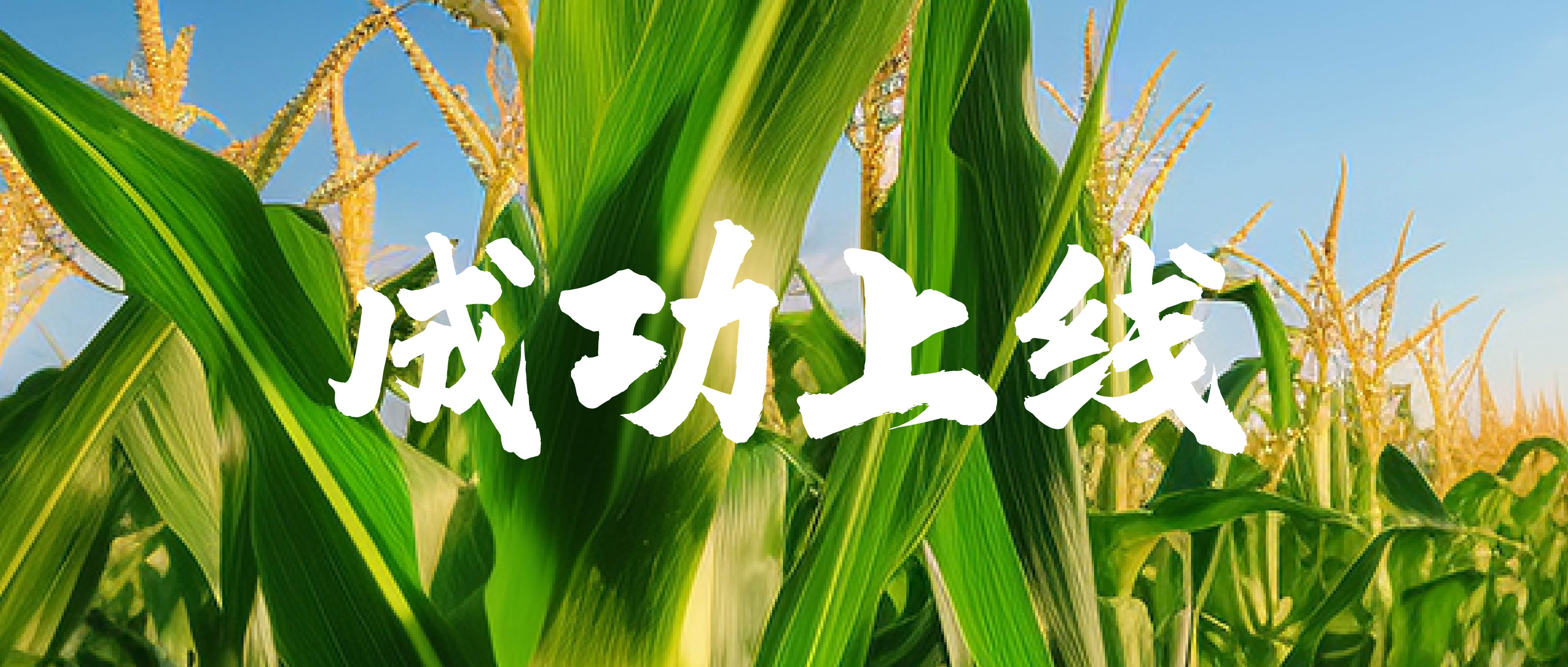象嶼北安+富錦成功上線C-WMS！三大工廠業(yè)務全覆蓋